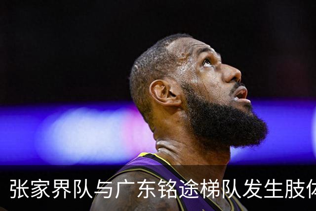 张家界队与广东铭途梯队发生肢体冲突，湖南省足协：暂停涉事人员参加省内一切足球活动